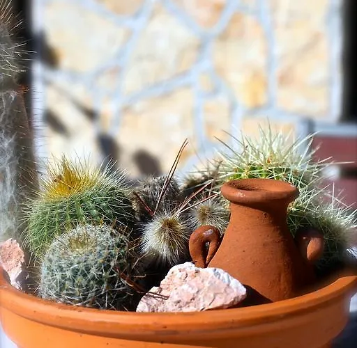 Panorama Apartament *