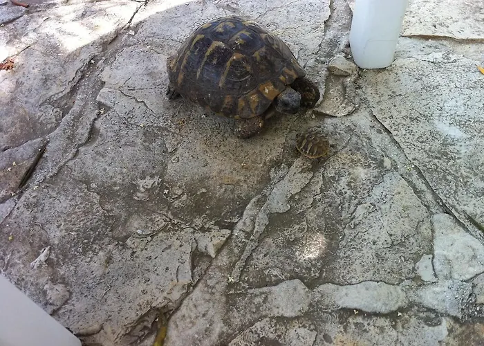 Апартаменты Panorama Макарска