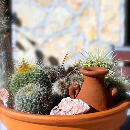 Panorama Апартаменты *