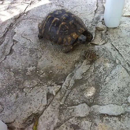 Апартаменты Panorama Макарска